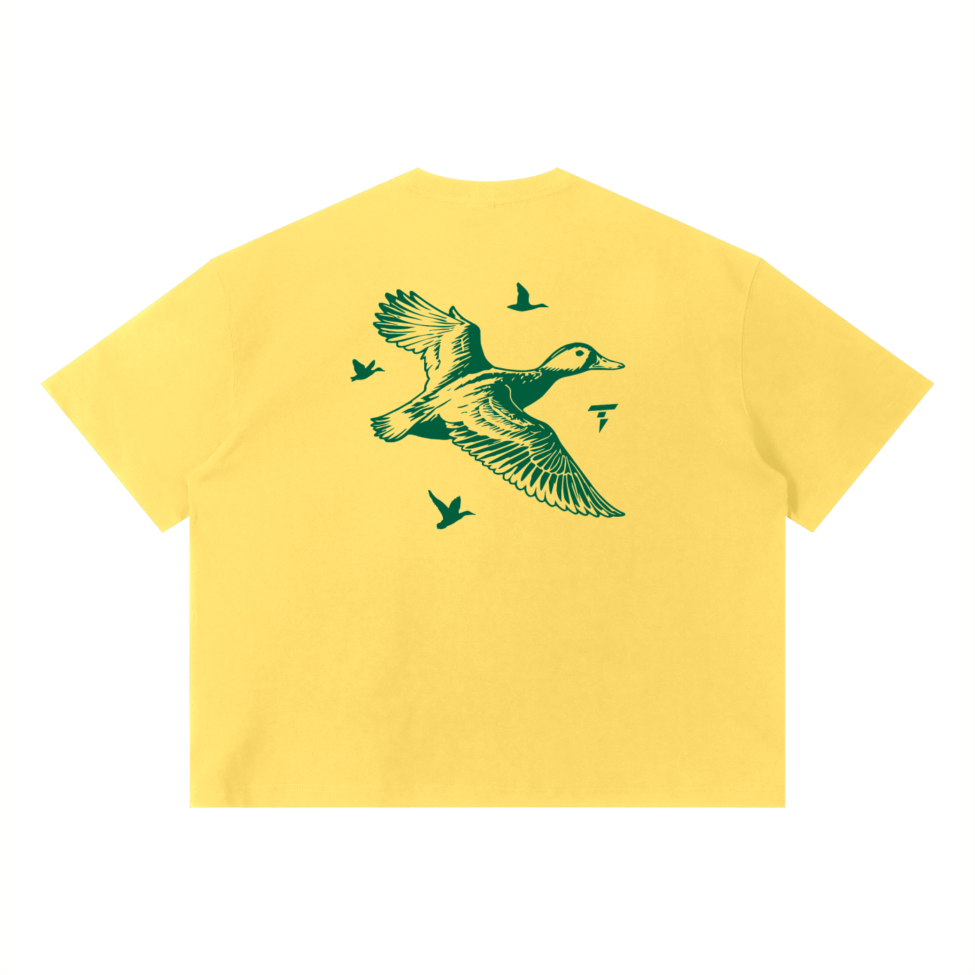 Tay 'Go Ducks!' Box T-shirt